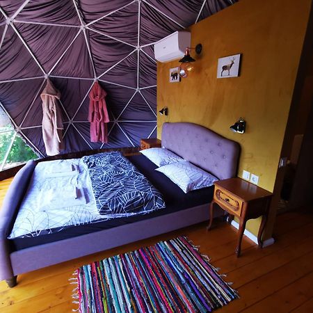 Glamping Zazen Otel Drumu Carului Dış mekan fotoğraf