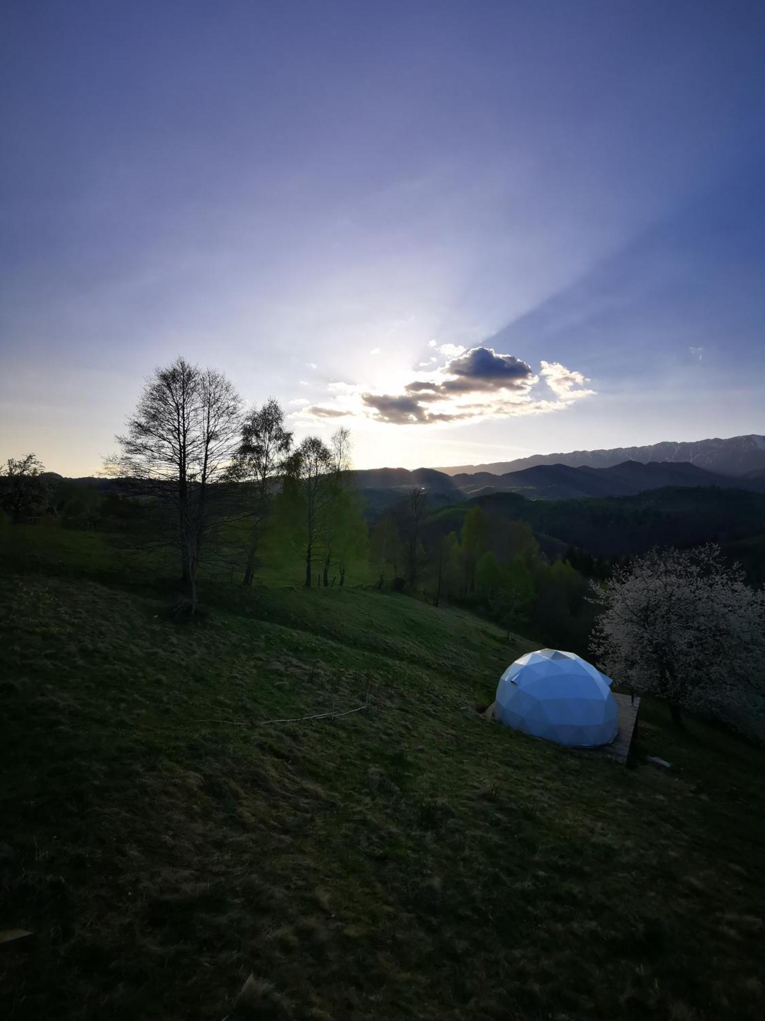 Glamping Zazen Otel Drumu Carului Dış mekan fotoğraf