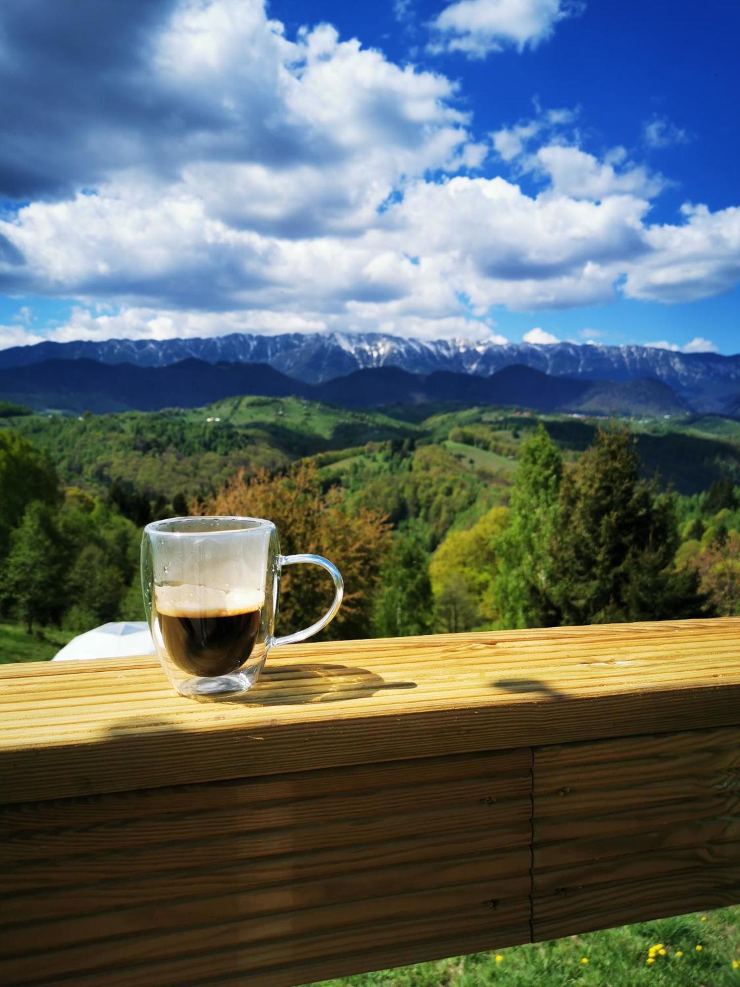 Glamping Zazen Otel Drumu Carului Dış mekan fotoğraf
