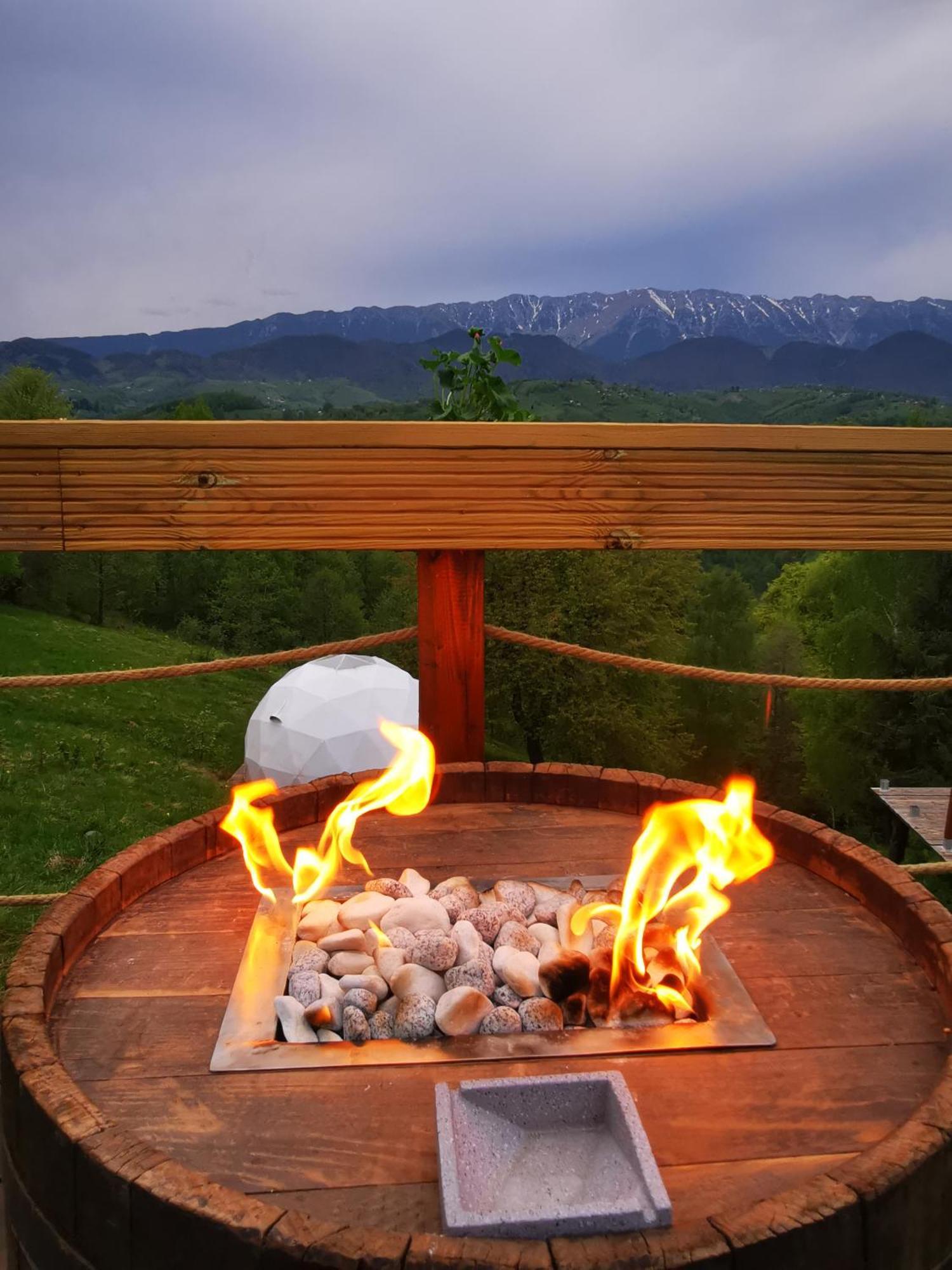 Glamping Zazen Otel Drumu Carului Dış mekan fotoğraf