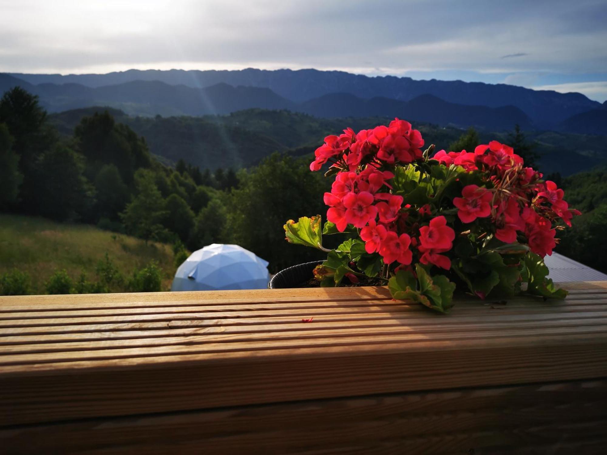 Glamping Zazen Otel Drumu Carului Dış mekan fotoğraf